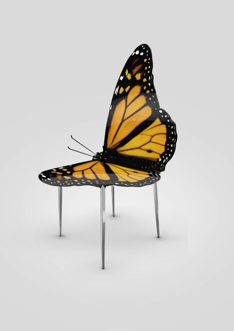 Chair butterfly - Greetings from Flower