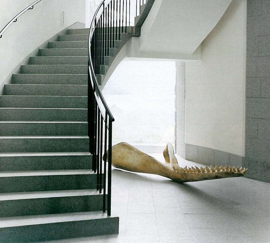 Highland Lodge - Staircase - a sperm whale jawbone