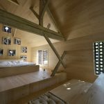 Alpine Barn Apartment from OFIS Architects