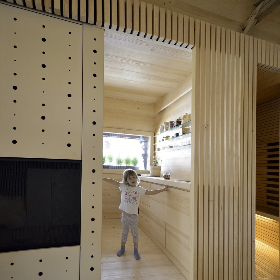 Alpine Barn Apartment from OFIS Architects - Kitchen