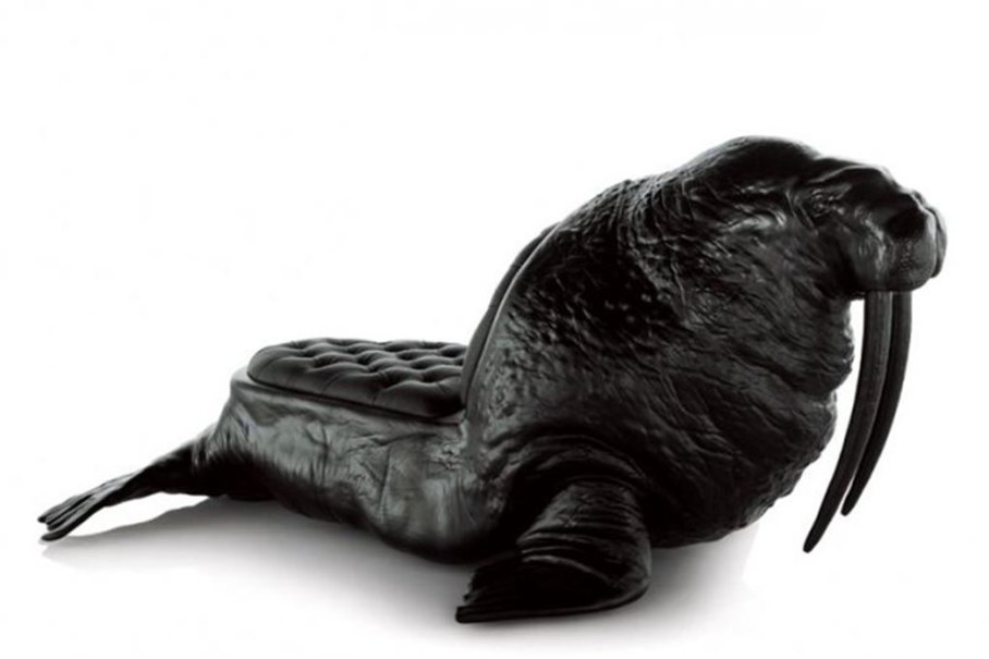 chair walrus