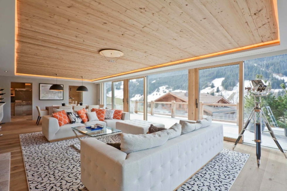 Residences for holidays in Swiss ski resort of Rougemont 1