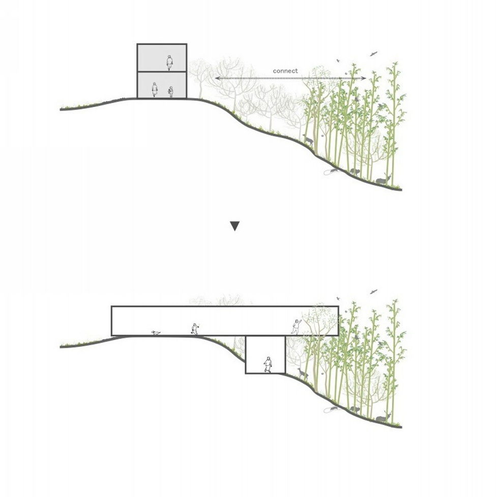 The pendulous over the forest house '+ node' from the UID Architects - Plan 2