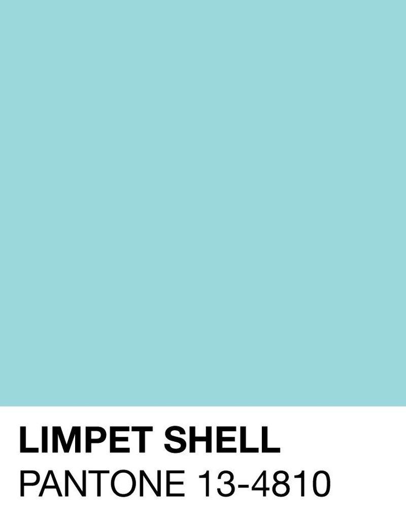limpet-shell-pantone