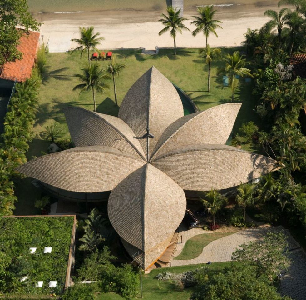 Leaf House - Brazilian Flower