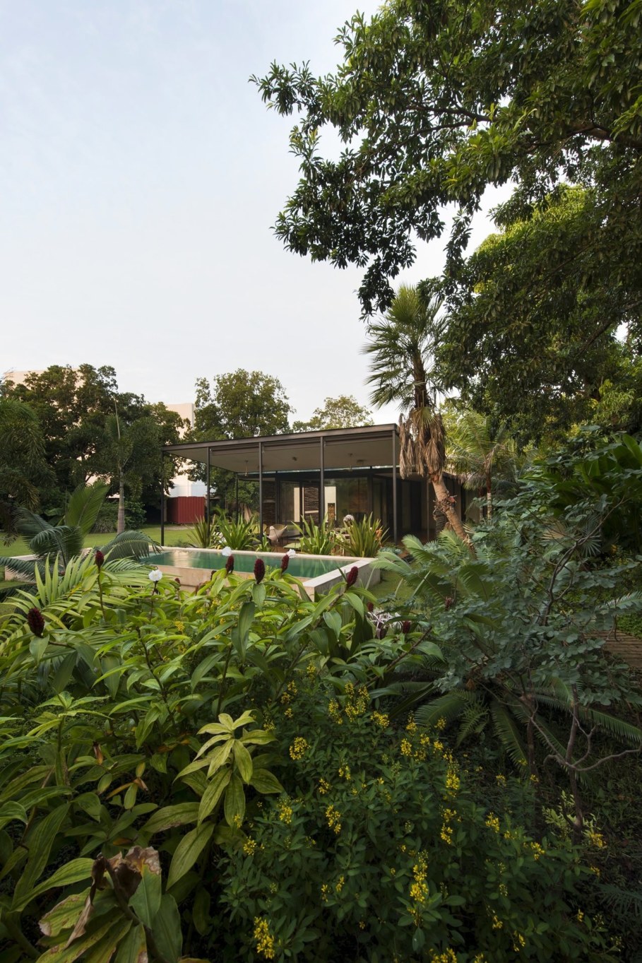 Energy-Saving Itzimna House in Mexico - Garden and swimming pool