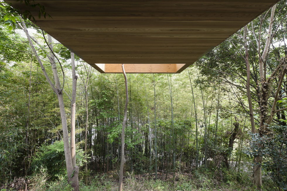 The pendulous over the forest house '+ node' from the UID Architects 3