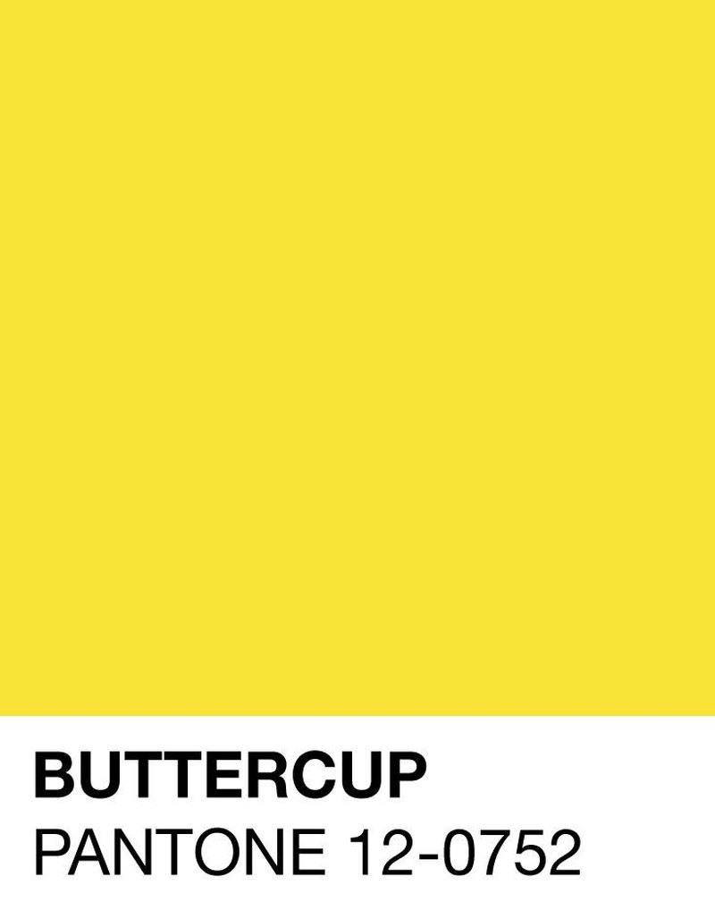 buttercup-pantone