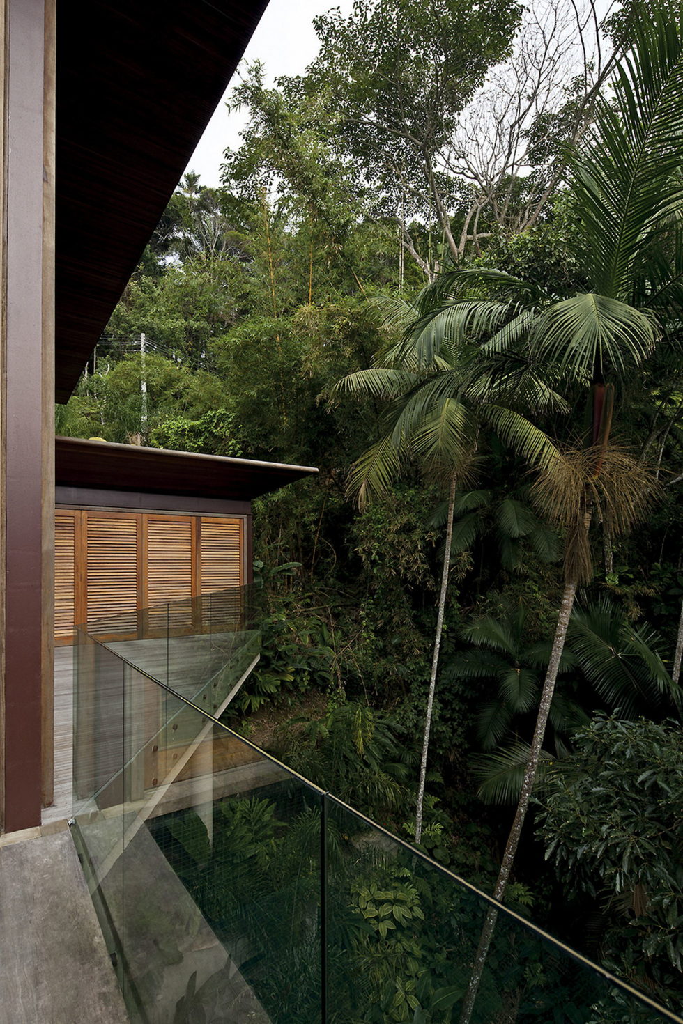 the-residence-in-the-tropical-forest-brazil-7