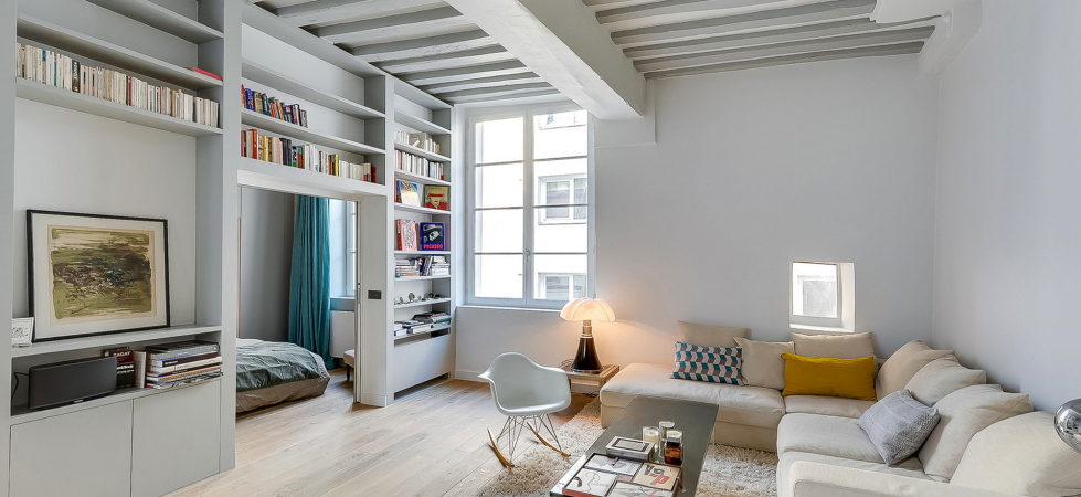 studio-apartment-in-paris-the-tatiana-nicol-project-1